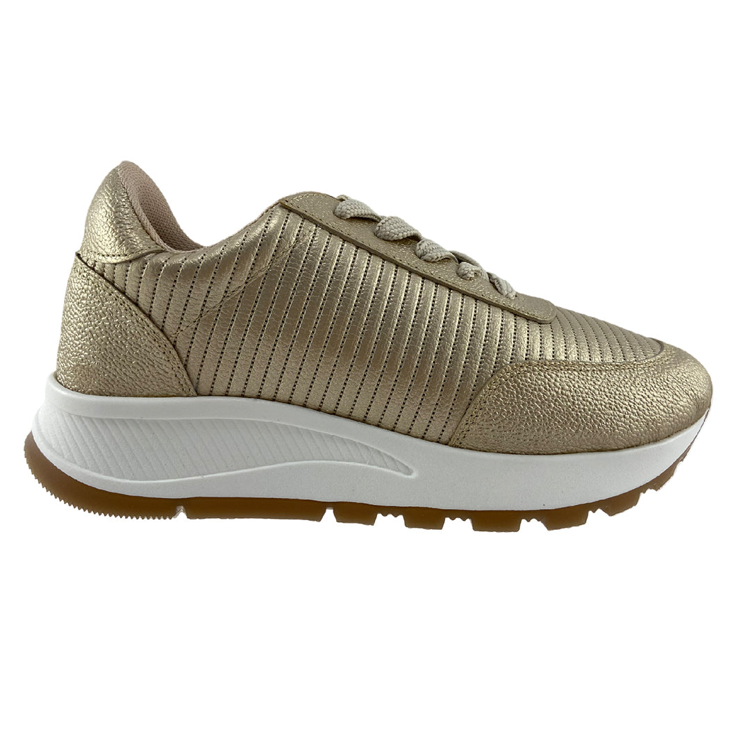 Tenis Mujer Versilia Alsira Ref. 005405